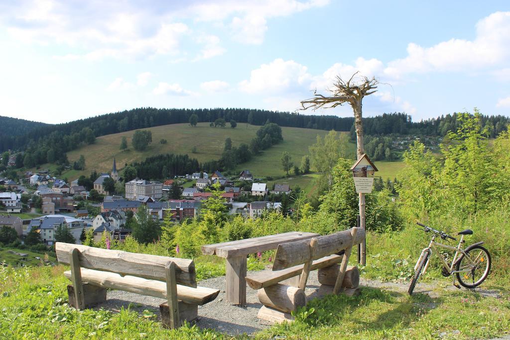 Landhotel Gasthof Zwota Клингенталь Экстерьер фото