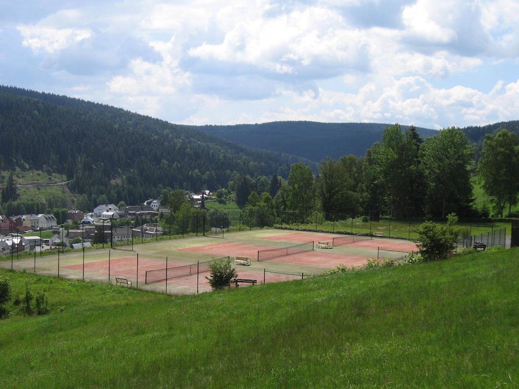 Landhotel Gasthof Zwota Клингенталь Экстерьер фото