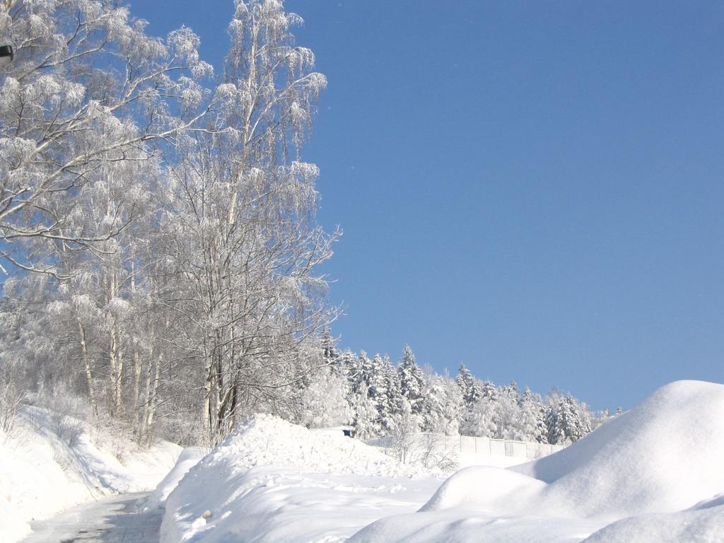 Landhotel Gasthof Zwota Клингенталь Экстерьер фото
